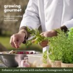 Planters' Choice 9 Herb Indoor Window Garden Kit - House Plants Seeds - Best Unique Easter Gift Ideas for Women, Mom, Friend, Her, Birthday, Housewarming, Mother - New Home Kitchen Gifts - Image 5